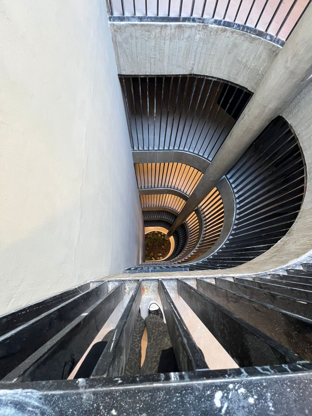 WhatsApp Image 2025-05-11 at 16.43.21